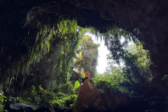  Lưu ngay kinh nghiệm trekking núi lửa Chư Bluk chuẩn chỉ