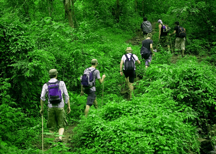 Trekking xuyên rừng đang dần trở nên phổ biến với những du khách đến thăm vườn quốc gia Phú Quốc