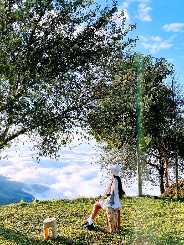 Ở Đỉnh Gió Tà Xùa chỉ cần giơ máy lên là có ảnh đẹp mang về rồi