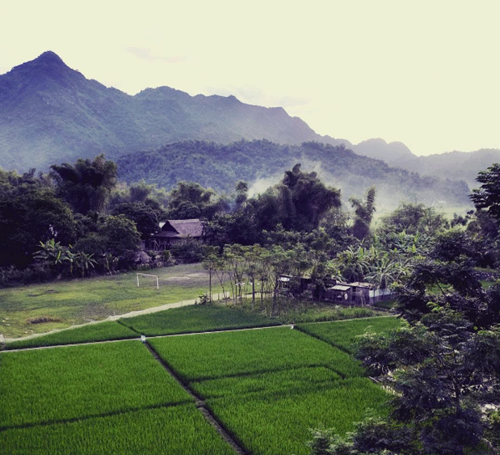 Thung lũng Mai Châu 