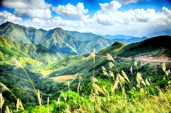 mùa hoa sở