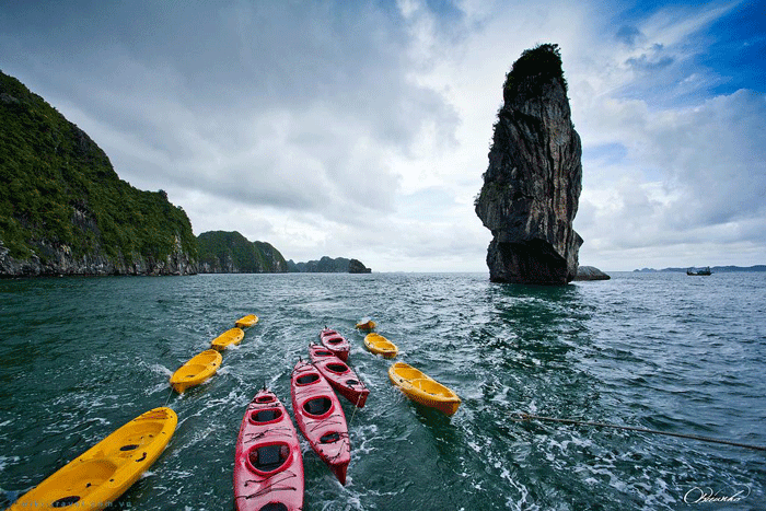 du lịch vịnh Hạ Long