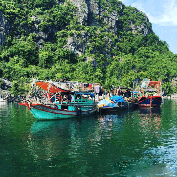 du lịch vịnh Hạ Long