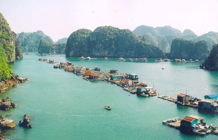 du lịch vịnh Hạ Long