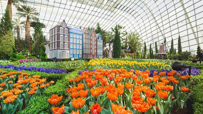 flower_dome