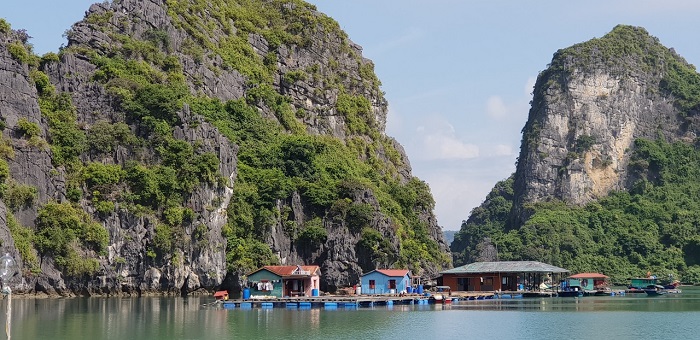 làng chài hai vịnh đẹp nhất ở Hạ Long