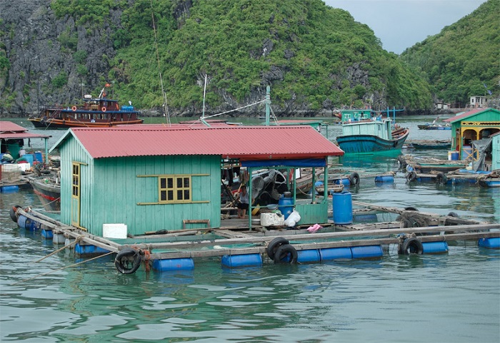 làng chài hai vịnh đẹp nhất ở Hạ Long