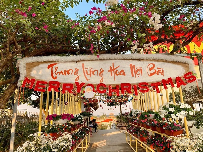 thung lũng hoa Nội Bài 