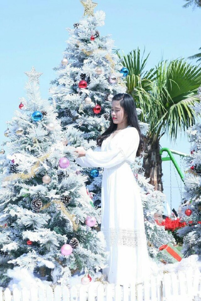 thung lũng hoa Nội Bài 