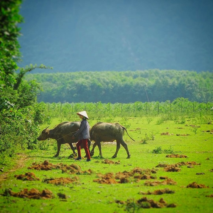 Chày Lập Farmstay Quảng Bình