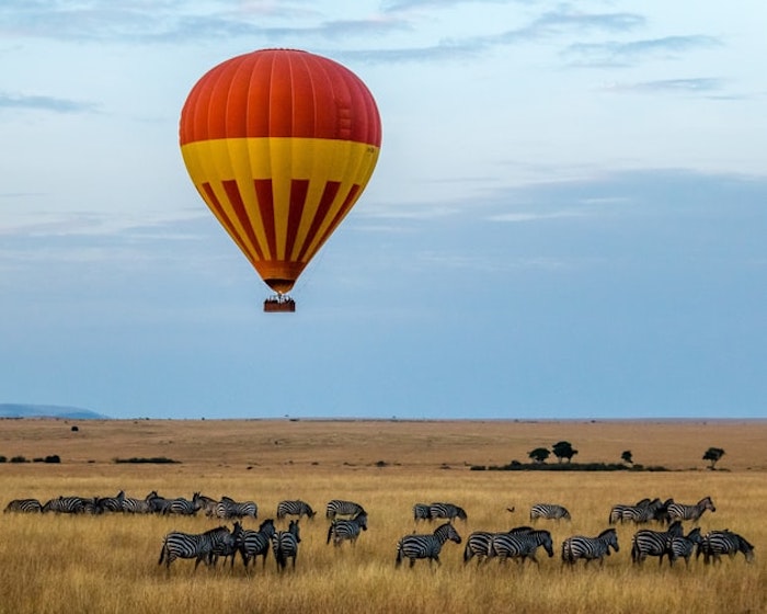 Tanzania và Kenya là những điểm đến ấn tượng trong năm 2021. 