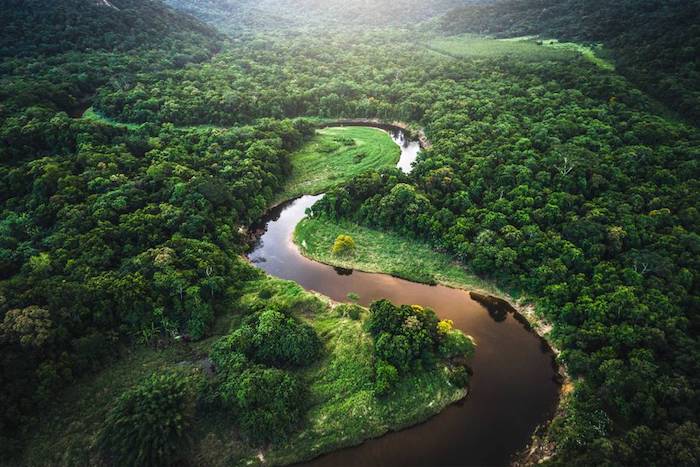  Rừng Xanh Amazon Brasil, Điểm Đến Ấn Tượng Trong Năm 2021. 