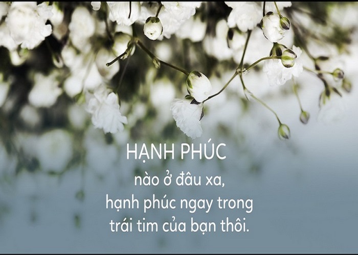 Hạnh phúc đơn giản là những điều giản dị xung quanh ta