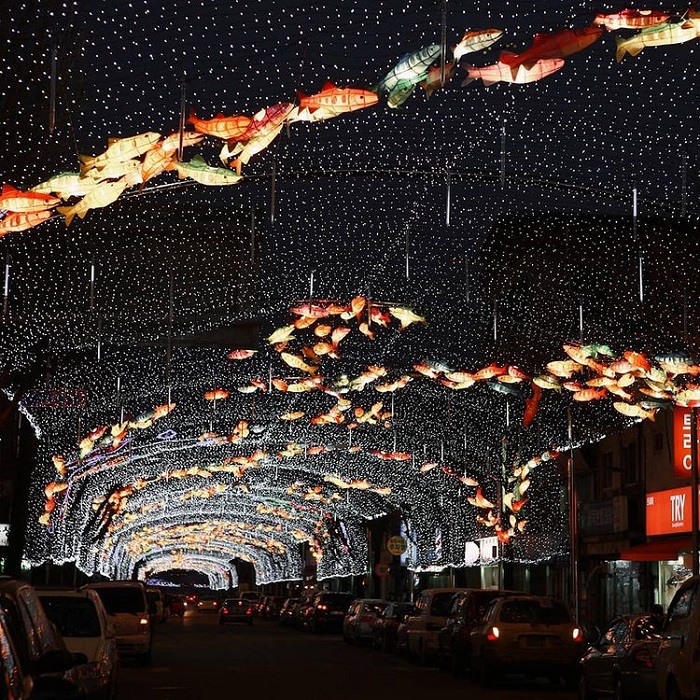 Không gian lễ hội Hwacheon Sancheoneo lễ hội mùa đông ở Hàn Quốc
