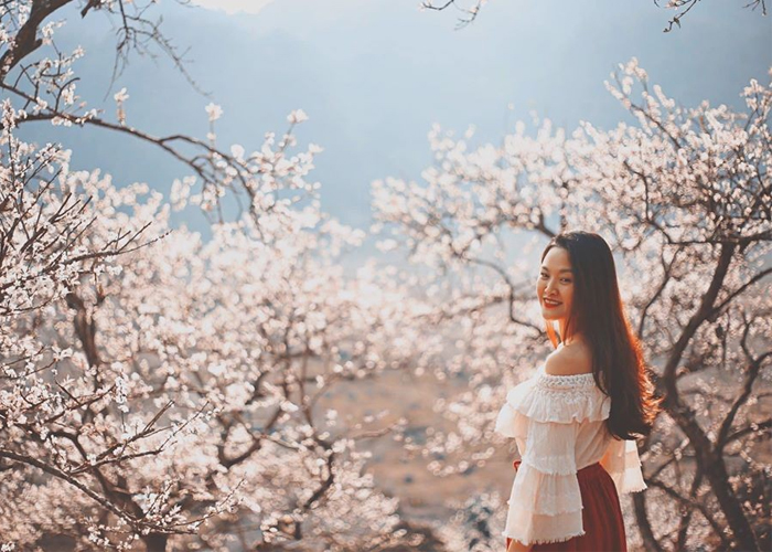 kinh_nghiem_du_lich_moc_chau_mua_hoa_man