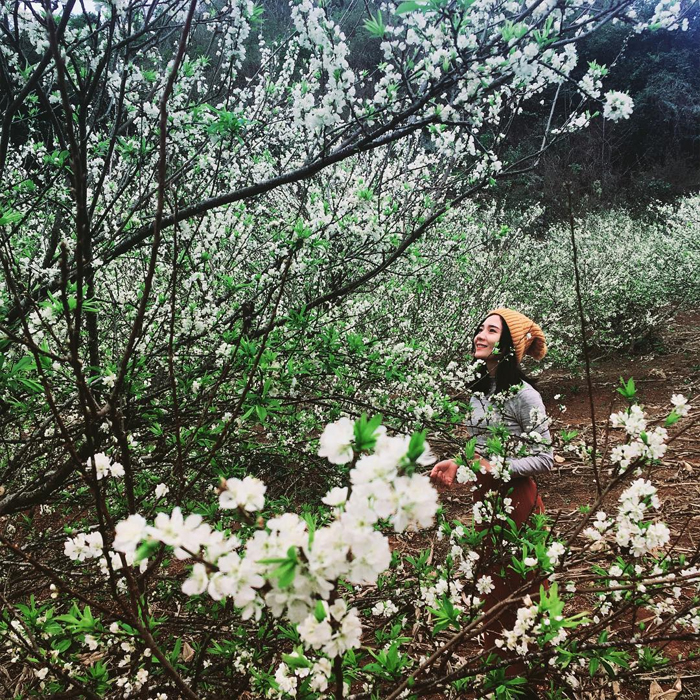 kinh_nghiem_du_lich_moc_chau_mua_hoa_man