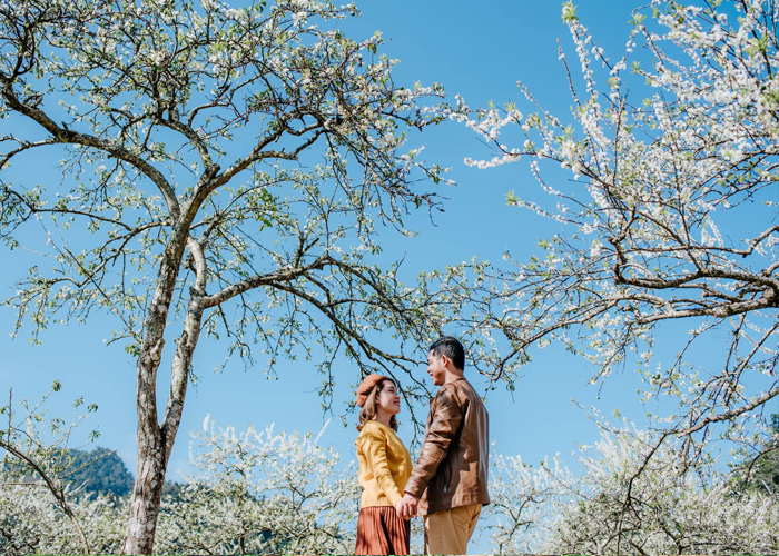 kinh_nghiem_du_lich_moc_chau_mua_hoa_man