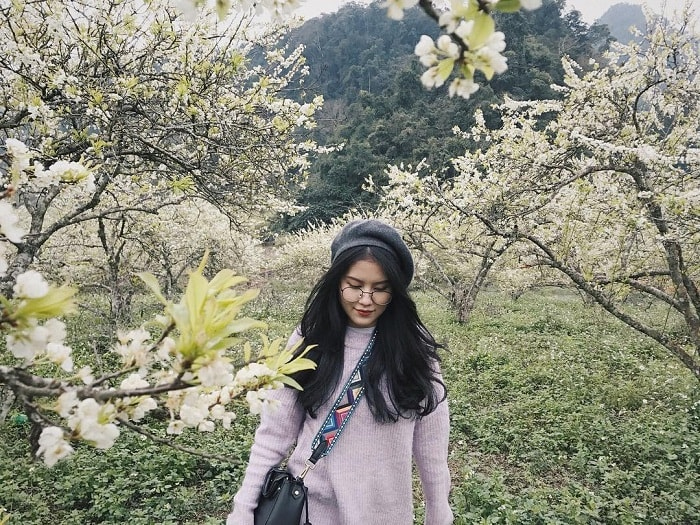 kinh_nghiem_du_lich_moc_chau_mua_hoa_man