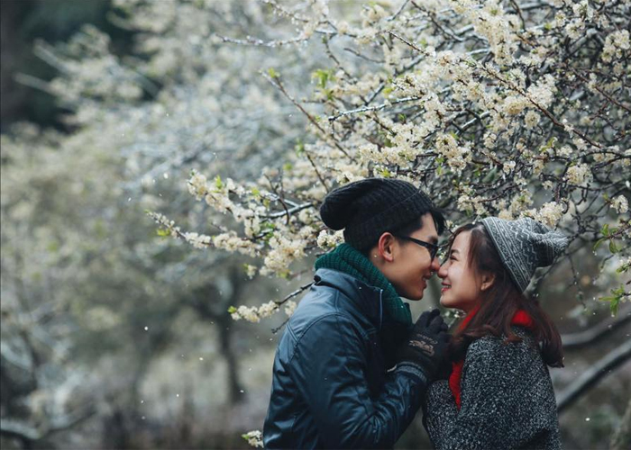 kinh_nghiem_du_lich_moc_chau_mua_hoa_man