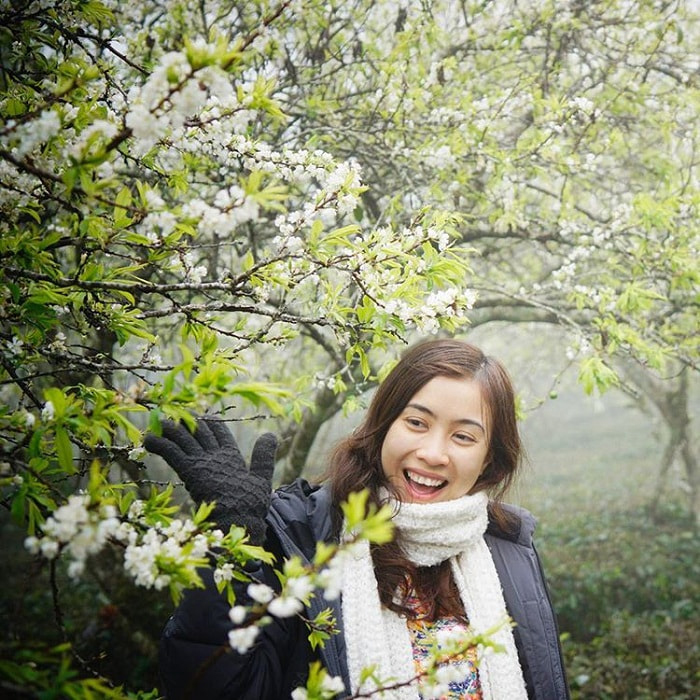 kinh_nghiem_du_lich_moc_chau_mua_hoa_man