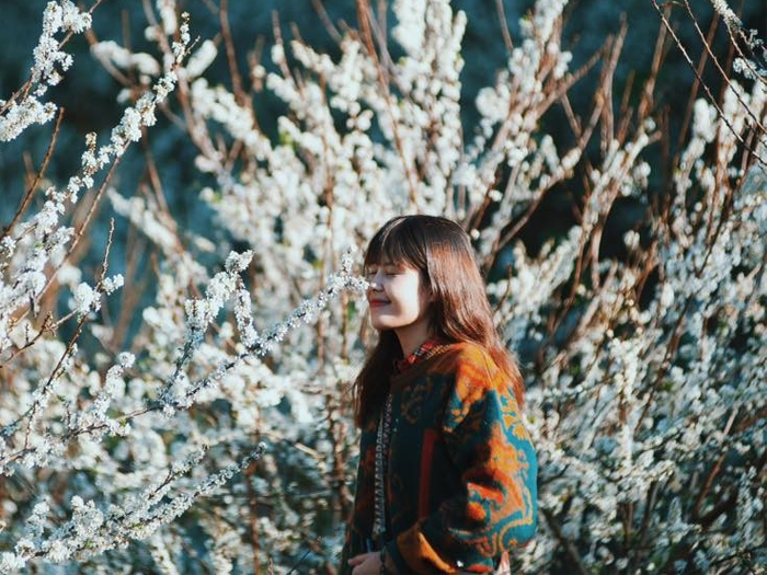 kinh_nghiem_du_lich_moc_chau_mua_hoa_man