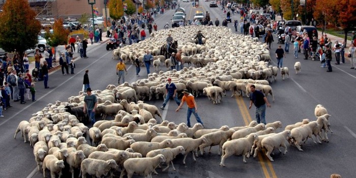 lễ hội đặc sắc ở Nga lễ hội chăn cừu
