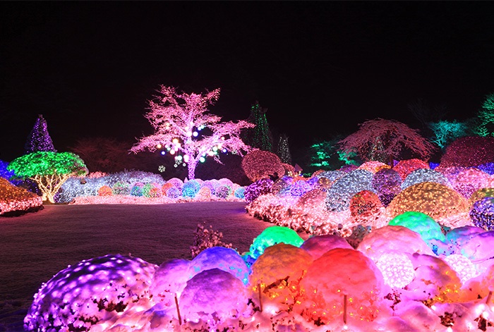 Lễ hội mùa đông ở Hàn Quốc tuyệt đẹp 