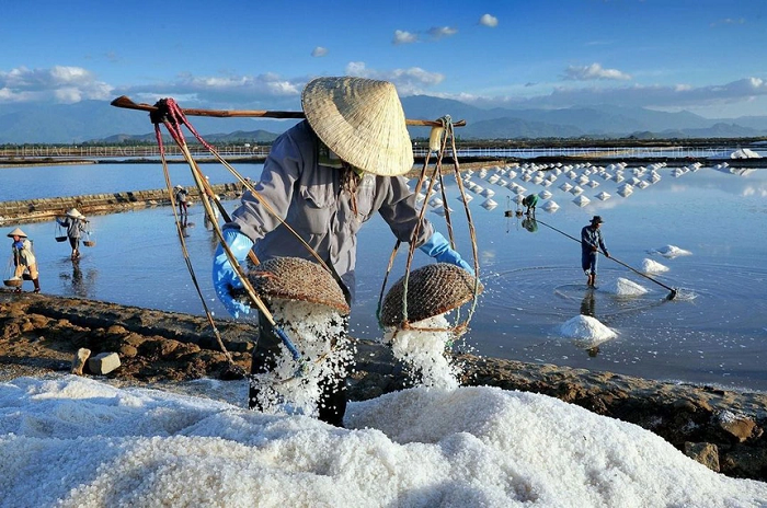 Ngỡ ngàng trước hình ảnh “tuyết rơi giữa mùa hè” trên những cánh đồng muối ở Ninh Thuận