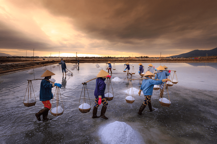 Ngỡ ngàng trước hình ảnh “tuyết rơi giữa mùa hè” trên những cánh đồng muối ở Ninh Thuận