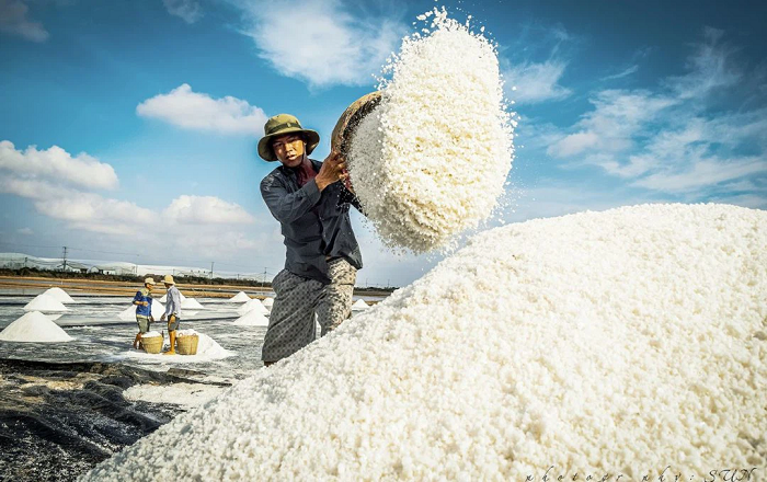 Ngỡ ngàng trước hình ảnh “tuyết rơi giữa mùa hè” trên những cánh đồng muối ở Ninh Thuận