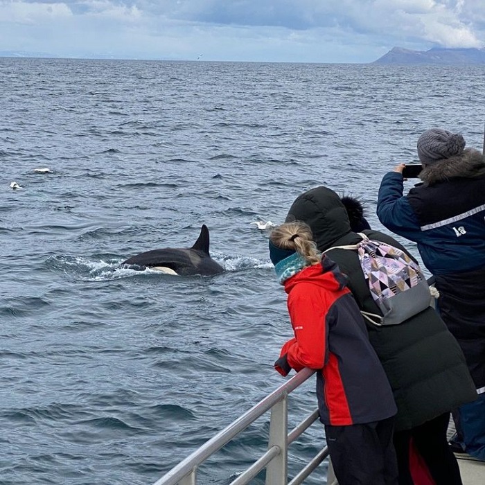  du lịch Iceland tháng 12