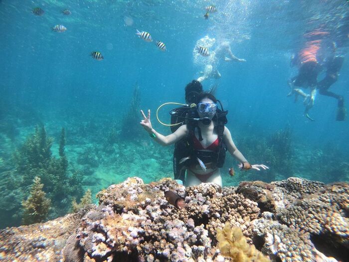 du lịch Bình Định bằng trải nghiệm lặn biển ngắm san hô