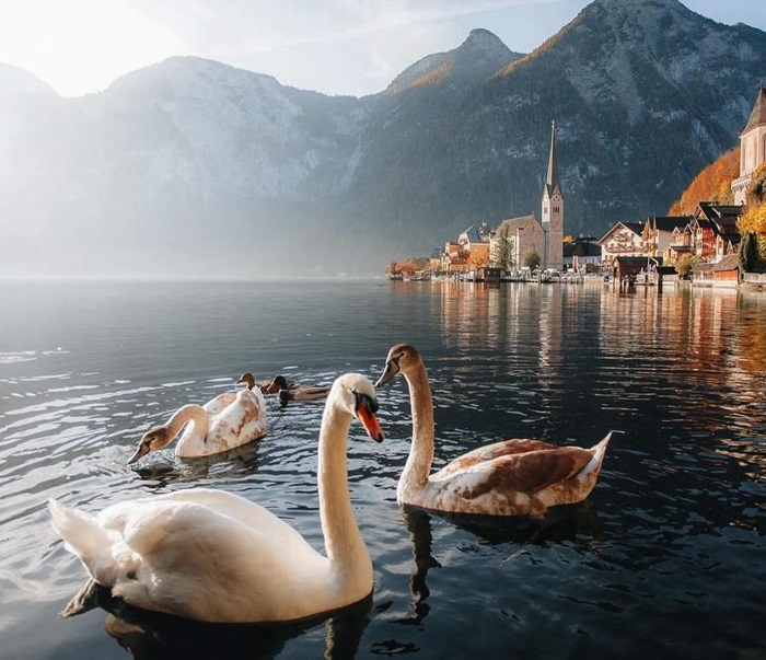 du lịch thị trấn Hallstatt Áo