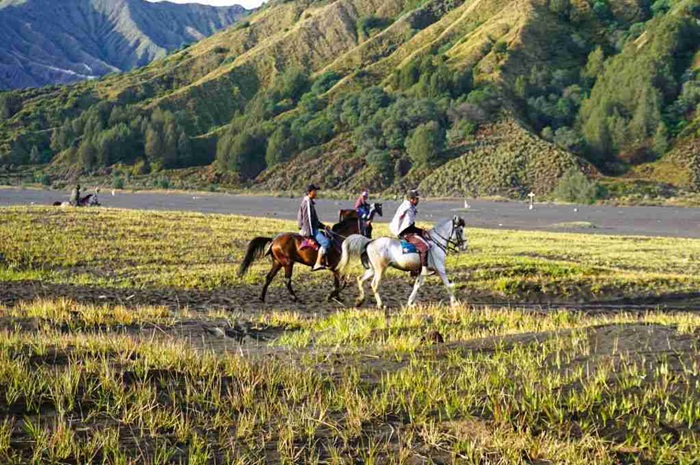 du lịch núi Bromo Indonesia