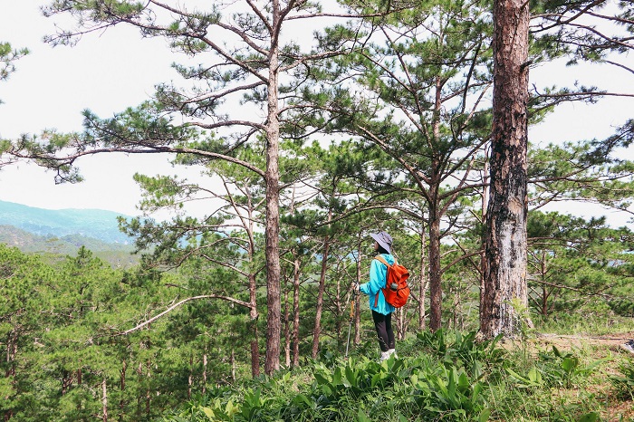 Cung đường trekking đẹp nổi tiếng Việt Nam này đưa bạn đi qua nhiều địa hình khác nhau