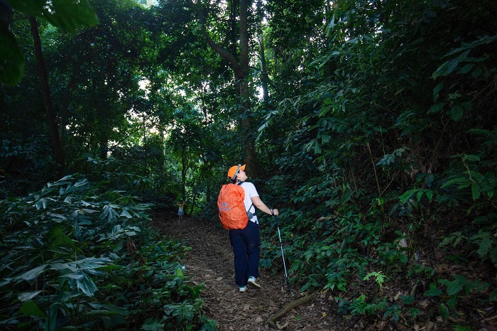 Khám phá thiên nhiên diệu kỳ nhân chuyến du lịch hồ Đồng Chương Ninh Bìn