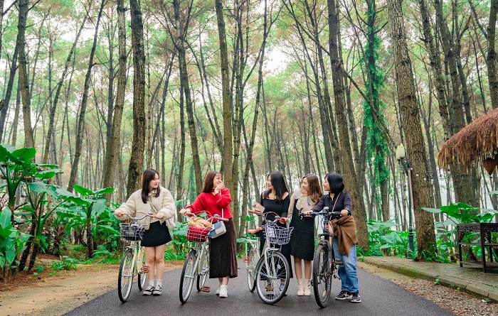 Bạn có thể chọn du lịch hồ Đồng Chương Ninh Bình bằng bất kể phương tiện nào