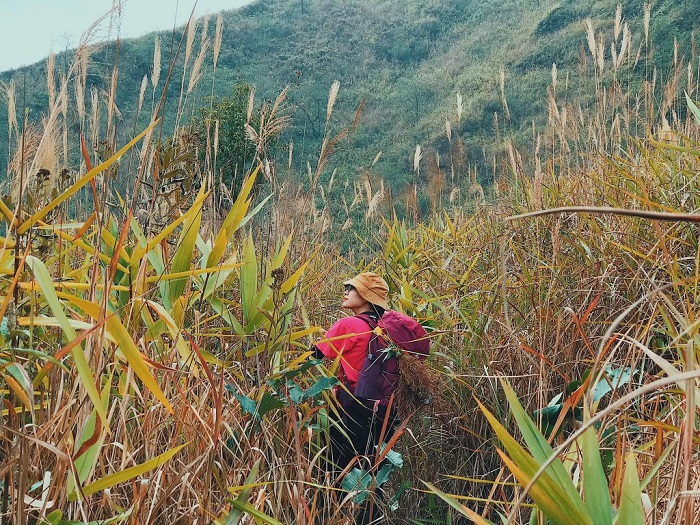 Cẩm nang du lịch Lai Châu, hành trình trekking Pusilung để lại ấn tượng khó quên