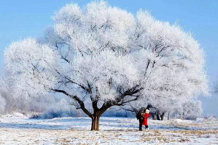 địa điểm ngắm tuyết ở Trung Quốc