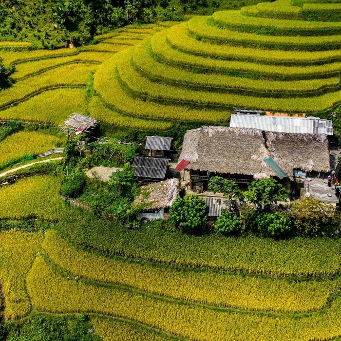 Du lịch cao nguyên trắng Bắc Hà tới ngay Bản Liền