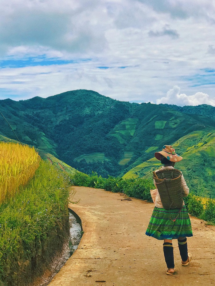 Bạn có thể du lịch cao nguyên trắng Bắc Hà bằng bất kể phương tiện nào