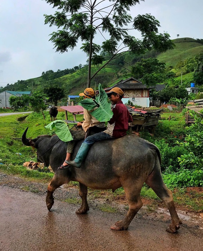 Cảnh tượng thanh bình khi du lịch Chiềng Ve Sơn La