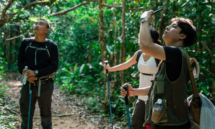 Du lịch Phú Quốc tháng 12 trekking khám phá rừng quốc gia