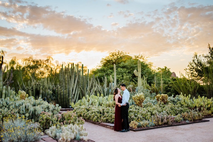 Một trong những kinh nghiệm du lịch Phoenix Mỹ bạn không thể bỏ qua là ghé thăm Desert Botanical Garden