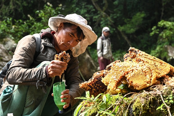 Mật ong điên Deli bal Thổ Nhĩ Kỳ