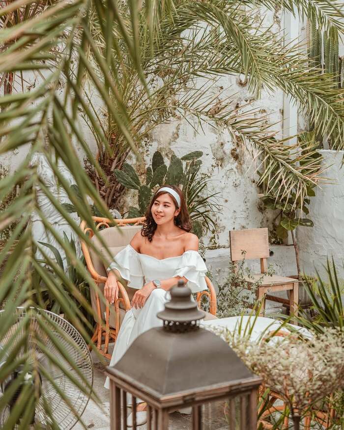 Quán cafe phong cách nhiệt đới ở TP HCM - O'palm Cafe