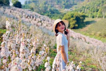 Cẩm nang du lịch Lai Châu: Trekking, thưởng thức đặc sản Tây Bắc