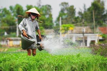 Làng Trà Quế Được Vinh Danh 'Làng Du Lịch Tốt Nhất Thế Giới' Năm 2024