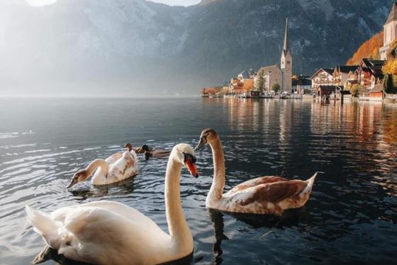 Du lịch thị trấn Hallstatt Áo - một trong những ngôi làng cổ nhất châu Âu