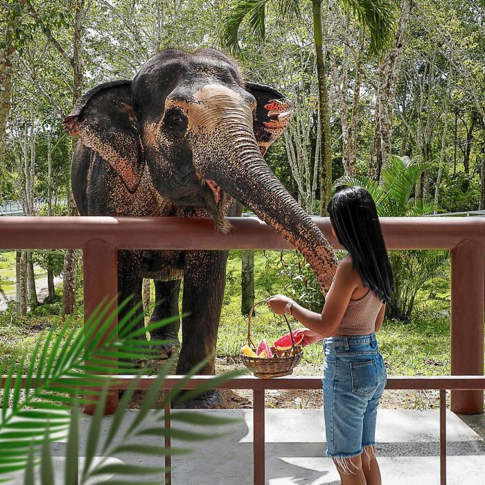 cẩm nang du lịch Phuket cẩm nang du lịch Phuket